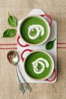 Sopa de espinacas y brócoli - foto de stock