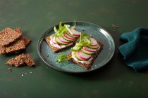 Кето хрусткий хліб з вершковим сиром, огірком та редькою — стокове фото