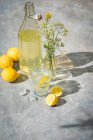 Лимонад в бутылке и стекле с лимонами и мини-вазой цветов — стоковое фото