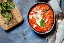 Sopa de tomate con arroz, carne picada y virutas de parmesano - foto de stock
