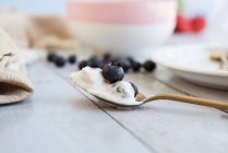 Veganer Joghurt mit Blaubeere auf goldenem Teelöffel — Stockfoto