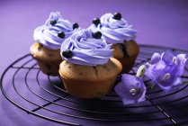 Cupcakes veganos con arándanos en crema púrpura cubierta - foto de stock