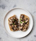 Nahaufnahme von köstlichem Pilz-Sandwich — Stockfoto
