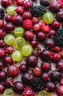 Fresh gooseberries, raspberries and blackberries with water drops — Stock Photo