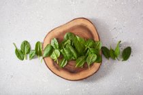 Fresh baby spinach on slice of log on stone surface — Stock Photo