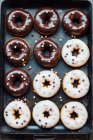 Braune und weiße Donuts — Stockfoto