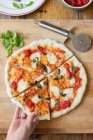 Pizza Margherita, folhas de manjericão — Fotografia de Stock