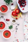 Tomato soup with fresh vegetables and herbs on a white plate - foto de stock