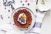 Pumpkin waffles with blueberries and yoghurt — Stock Photo