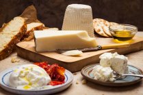 Сырное блюдо с оливковым маслом и хлебом — стоковое фото