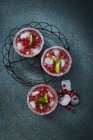 Gin and Tonic with pomegranate seeds in glasses with sugared rims, ice and limes — Stock Photo