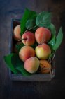 Wachau apricots with green leaves in wooden crate — Stock Photo