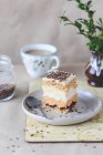 Gâteau de couche avec dulce de leche, meringue de noix de coco et glaçage au café — Photo de stock