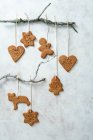 Рождественское имбирное печенье в качестве украшения для елки — стоковое фото