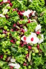 Winter salad with green kale, pomegranate seeds, peas, mozzarella and pumpkin seeds — Stock Photo