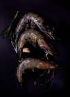 Crevettes crues sur une surface noire avec romarin et huile d'olive — Photo de stock
