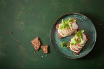 Keto-Knäckebrot mit Frischkäse, Gurken und Radieschen — Stockfoto