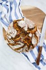 Pão de centeio de massa de farinha em tábua de madeira com pano e faca — Fotografia de Stock