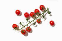 Tomates cerises saines sur fond blanc — Photo de stock