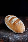 Primo piano di delizioso pane di grano — Foto stock