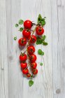 Tomates cerises fraîches aux feuilles — Photo de stock