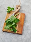 Fresh orache spinach on a wooden chopping board — Stock Photo