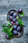 Close-up shot of delicious Plums with leaves in a bowl — Stock Photo