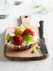 Ricotta with tomato and basil on bread slice — Stock Photo