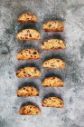 Cranberry, pistachio and chocolate chip biscotti in rows — Stock Photo