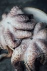 Close up de ouriço do mar fresco — Fotografia de Stock