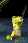 Mojito drink with mint and lime slices in glass — Stock Photo