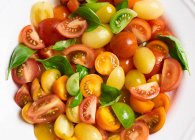 Цветной томатный салат с базиликом — стоковое фото