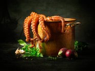 Крупный план вкусного осьминога в кастрюле со свежими ингредиентами — стоковое фото
