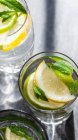 Gläser gefüllt mit Zitronen, Limetten, Minze und Ingwer — Stockfoto