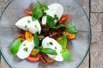 Caprese-Salat mit Mozzarella, Tomaten, Basilikum und Feta. — Stockfoto