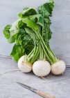 Fresh green vegetables on a wooden background — Stock Photo