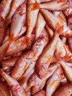 Pesce fresco mucchio, primo piano colpo — Foto stock