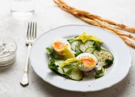 Primo piano di deliziosa insalata di uova e cetrioli — Foto stock