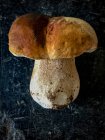 Cogumelo fresco de cep na superfície de pedra — Fotografia de Stock
