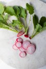 Fresh radish with green leaves on white background — Stock Photo