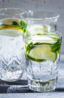 Vari bicchieri d'acqua pieni di limoni, lime, menta e zenzero — Foto stock