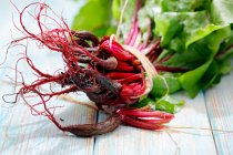 Young beetroot with leaves, bundled — Stock Photo