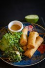 Spring rolls with salad and a dip — Stock Photo