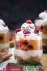 Christmas pumpkin and cranberry mousse — Stock Photo