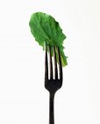 Foglia di lattuga su una forchetta — Foto stock