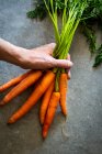 Рука тримає купу моркви на кам'яній поверхні — стокове фото