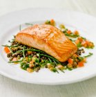 Salmon fillet on a bed of samphire, green lentils and tomatoes with green herbs vinaigrette — Stock Photo
