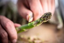 Asparagi verdi in preparazione — Foto stock