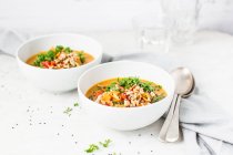 Арахис и сладкий картофельный суп с начинкой — стоковое фото