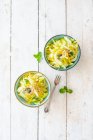 Fenchelsalat mit Mango, Gurke, Minze und Samen (vegan)) — Stockfoto